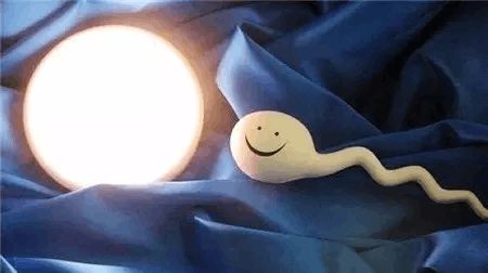 极光生殖